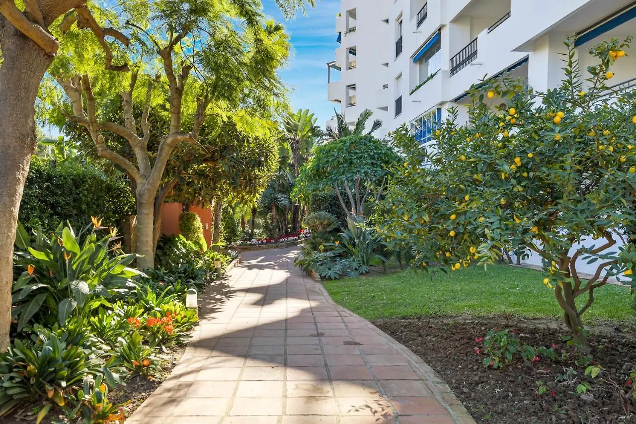 Estudio En Medina Garden contacts